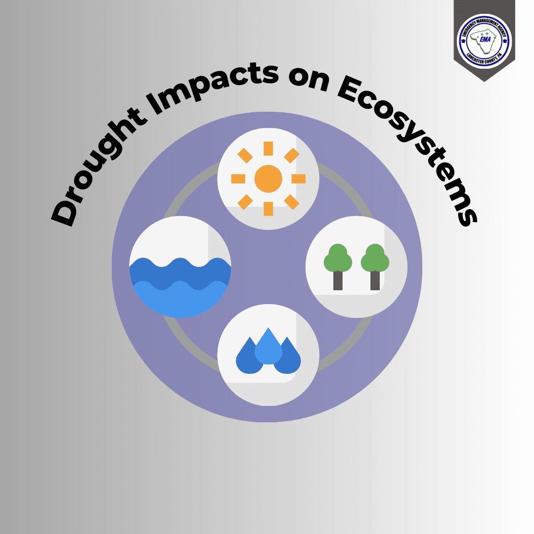 Drought Impactc on Ecosystems